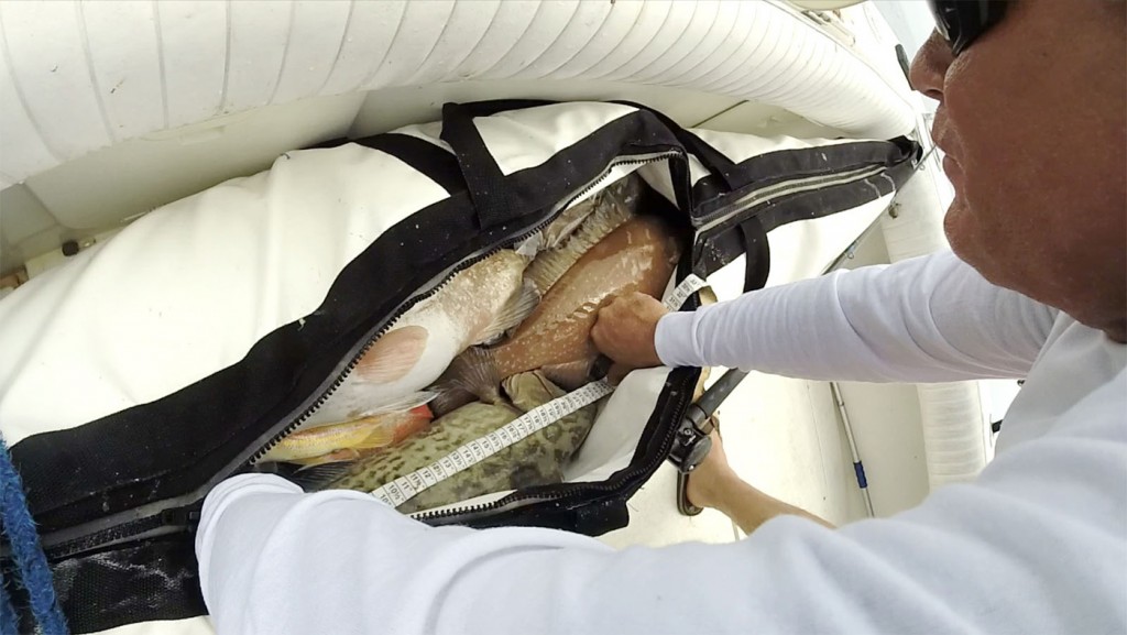 Bag Full Of Fish - Madeira Beach