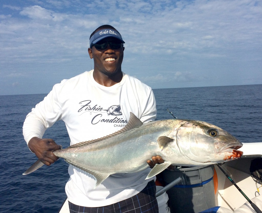 Monster Amberjack